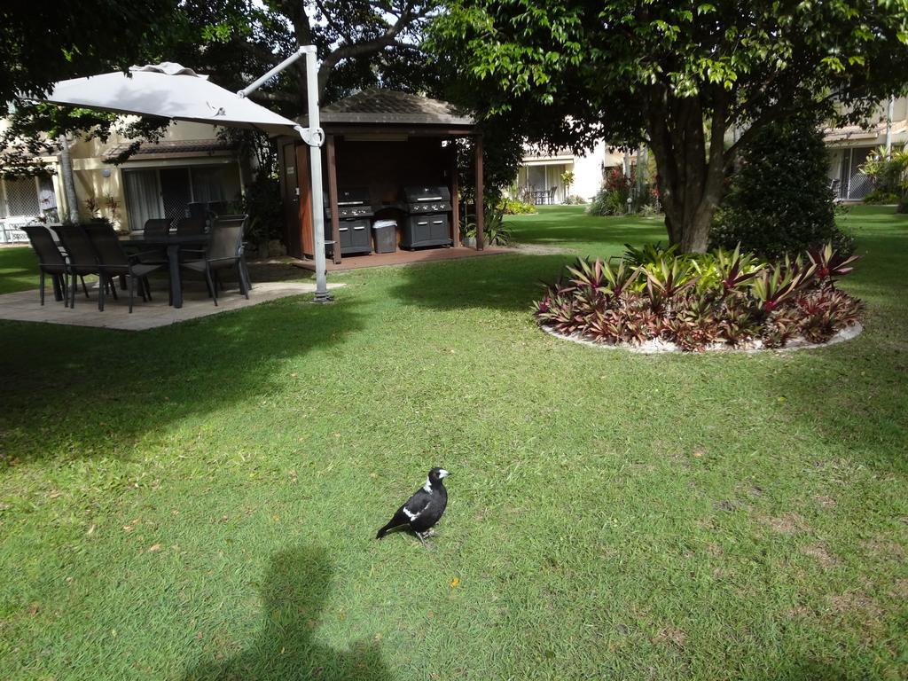 Noosa Gardens Riverside Resort Noosaville Rom bilde